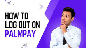 How to Log Out from PalmPay Account