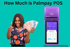 How Much is Palmpay POS Machine 2024?, Commission, Charges Target