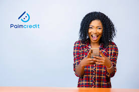 Does Palmcredit Defame People: My Experience with Palmcredit